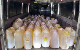 Phát hiện tài xế ô tô vận chuyển trái phép 1.500 lít xăng sang Lào