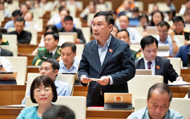 Vốn tín dụng bị "giam" trong tài sản đầu cơ, đẩy giá bất động sản gấp 30 lần thu nhập người lao động