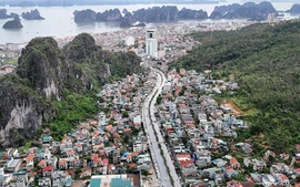 Quảng Ninh lấy ý kiến nhân dân về việc thành lập thành phố trực thuộc Trung ương