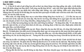 Đọc hiểu truyện ngắn, viết đoạn văn nghị luận văn học và bài văn nghị luận xã hội