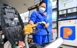 Hàng nghìn cửa hàng xăng dầu chuyển sang bán xăng E10