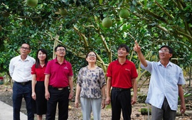 Agribank - Dòng vốn lan tỏa, kiến tạo phát triển bền vững tại Đồng bằng sông Cửu Long