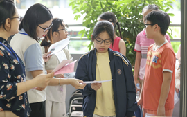 Điểm chuẩn vào lớp 6 Trường Trung học cơ sở và Trung học phổ thông Nguyễn Tất Thành là 23,75