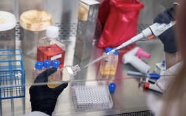 Vaccine ung thư cá thể hóa gây chú ý: Tăng tỉ lệ sống sót sau khi điều trị