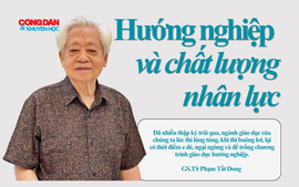 Tầm quan trọng của hướng nghiệp với chất lượng nguồn nhân lực quốc gia