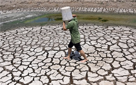 Liên Hợp Quốc cảnh báo El Niño mạnh có thể đẩy nhiệt độ toàn cầu tăng cao