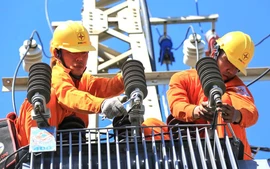 Điều gì làm nên mức lợi nhuận kỷ lục của Tập đoàn Điện lực Việt Nam (EVN)?