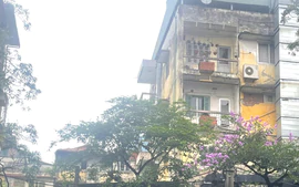 Những mùa bình thường ở khu tập thể cũ