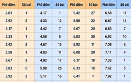 Giải mã những con điểm “lạ” Ngữ văn kỳ thi tốt nghiệp trung học phổ thông