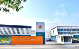 Tuyên Quang báo cáo Thủ tướng, kiểm tra toàn bộ bài thi Toán đạt điểm 10 và rà soát học bạ của thí sinh