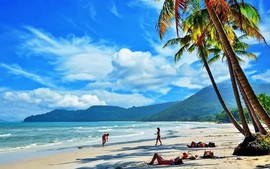 Traveloka: Điểm đến ven biển Việt Nam hút khách hè 2026