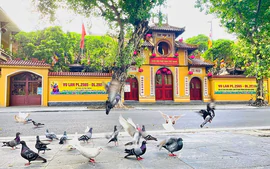 Giáo hội Phật giáo ra công văn hướng dẫn thực hành phóng sinh bảo vệ môi trường và đa dạng sinh học mùa Vu lan