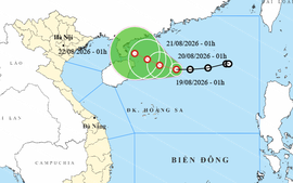 Chỉ đạo ứng phó mới với áp thấp nhiệt đới, mưa