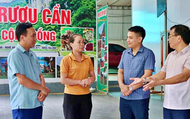 Một số mô hình làm giàu độc đáo ở miền Tây Nghệ An