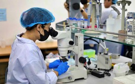 Gần 100 chuyên gia quốc tế tham gia Chương trình Giáo sư thỉnh giảng Đại học Quốc gia Thành phố Hồ Chí Minh