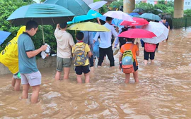 Hà Nội yêu cầu các trường chủ động ứng phó với diễn biến bất thường của thời tiết