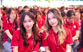 Thống kê từ 35.900 thí sinh: Điểm cộng IELTS đang làm lệch thước đo công bằng tuyển sinh