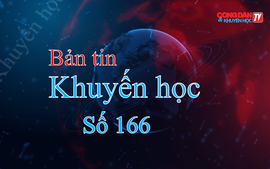 Hoạt động Khuyến học tại các tỉnh thành phố: Hưng Yên, Tuyên Quang, Phú Thọ, Quảng Ninh, Khánh Hòa, Đồng Tháp (19/9/2026 - 26/9/2026)