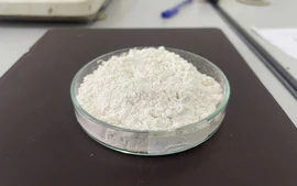 Từ hạt mít, các nhà khoa học tạo vật liệu giữ lượng nước gấp hơn 400 lần khối lượng