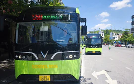 Quảng Ninh khai trương 6 tuyến xe buýt điện miễn phí đưa học sinh đến trường