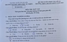 Gợi ý đáp án môn Ngữ văn thi vào lớp 10 Trường Trung học phổ thông chuyên Khoa học Tự nhiên