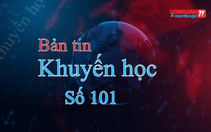 Hoạt động Khuyến học tại các tỉnh thành phố: Hà Nam, Nghệ An, Quy Nhơn, Thành phố Hồ Chí Minh, Sóc Trăng (24/5-31/5/2025)