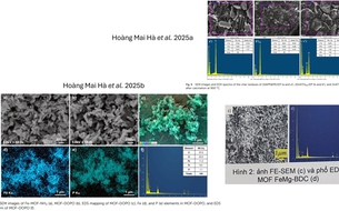 Dự án đoạt giải Nhất Cuộc thi khoa học kỹ thuật của học sinh Ninh Bình: Thêm nhiều bằng chứng sao chép khó chối cãi?