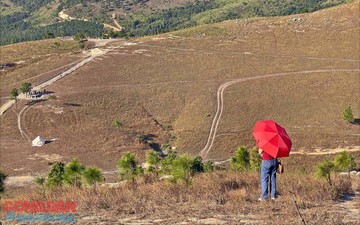 Đỉnh Phượng Hoàng lộng lẫy trong nắng mùa đông