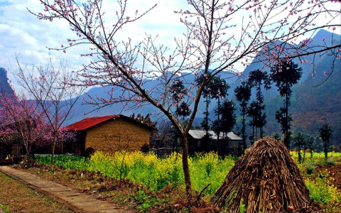 Công viên địa chất Đồng Văn tiếp tục được tôn vinh như một "miền văn hoá sống"