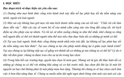 Tác phẩm "Những mảnh ghép cuộc đời" vào đề thi thử tốt nghiệp môn Ngữ văn