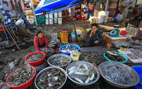 Chuyển sang kê khai thuế định kỳ từ 2026: Có cách hỗ trợ miễn phí