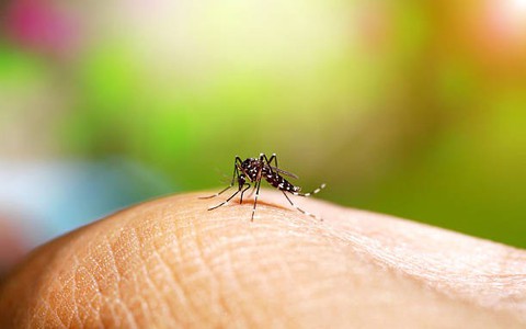 Cảnh báo gia tăng sốt xuất huyết sau mưa bão