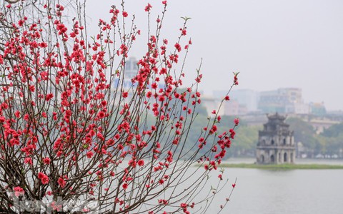 Bộ Nội vụ đề xuất nghỉ Tết Âm lịch 9 ngày, nghỉ lễ Quốc khánh 2026 trong 5 ngày