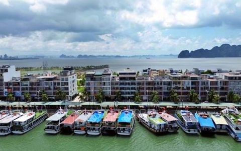 Quảng Ninh ngừng cấp phép tham quan, lưu trú trên biển từ sáng 5/10
