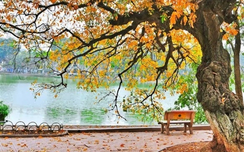 Hà Nội rét đầu mùa: Cẩn trọng việc thay đổi nhiệt độ trong ngày 