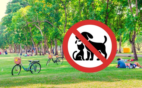 Vi phạm thả rông động vật nuôi ở nơi công cộng bị phạt thế nào?