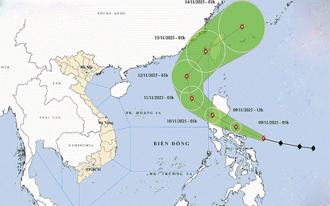 Các tỉnh, thành phố ven biển từ Quảng Ninh đến Đắk Lắk chủ động ứng phó với bão gần biển Đông