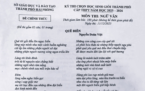 Đề thi học sinh giỏi Ngữ văn: Thơ ca chấp nhận nhiều sắc thái của ngôn ngữ