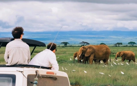 Việt Nam - điểm đến thu hút du khách Trung Quốc "thế hệ mới 2026"