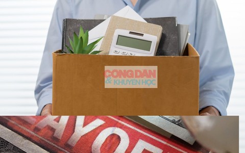 Làn sóng sa thải 2025: Khi AI định hình lại thị trường lao động