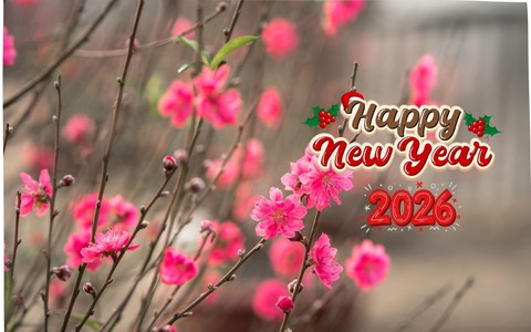 Thủ tướng chỉ đạo tổ chức Tết Bính Ngọ 2026 vui tươi, an toàn, tiết kiệm