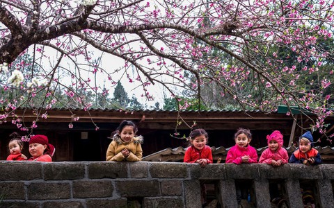 Đón năm mới 2026, miền Bắc chịu rét đậm