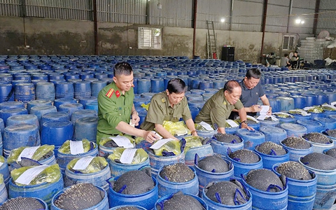Công bong da truc tiep k 1 Nghệ bong da truc tiep k 1 triệt phá đường dây sản xuất 3.500 tấn giá đỗ ngâm hoá chất