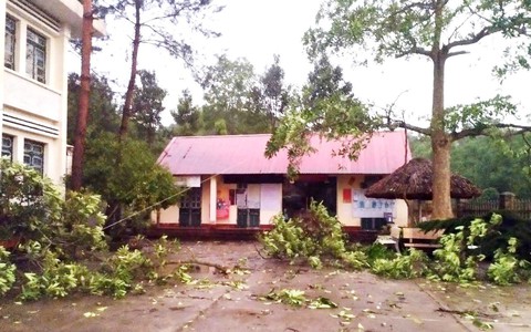 Mưa lớn kèm gió lốc làm hư hại 20 nhà dân ở Lào Cai