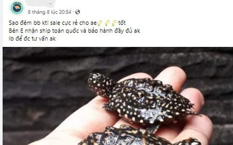 10 nhóm chuyên rao bán động vật hoang dã bị gỡ bỏ vĩnh viễn trên không gian mạng