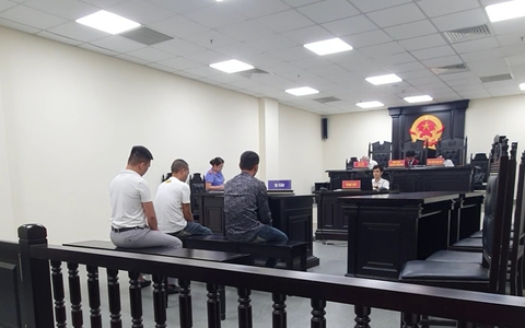"Trùm" đường dây buôn lậu động vật hoang dã xuyên quốc gia đến từ Nghệ An lĩnh án 7 năm tù