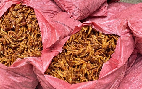 Lạng Sơn ngăn chặn 1,5 tấn chân gà đang trên đường đi tiêu thụ