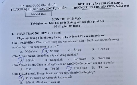 Gợi ý đáp án môn Ngữ văn thi vào lớp 10 Trường Trung học phổ thông chuyên Khoa học Tự nhiên