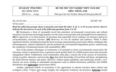 Đề thi thử tốt nghiệp trung học phổ thông năm 2025 môn Tiếng Anh của Vĩnh Phúc