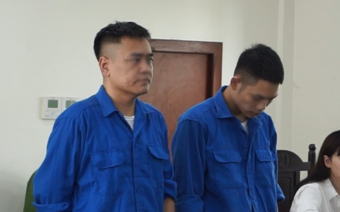 9 năm tù cho 2 đối tượng giao dịch hơn 100kg sừng linh dương - động vật hoang dã nguy cấp